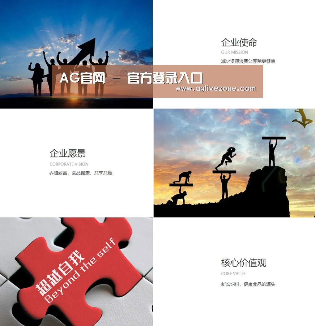 企业文化(图1)