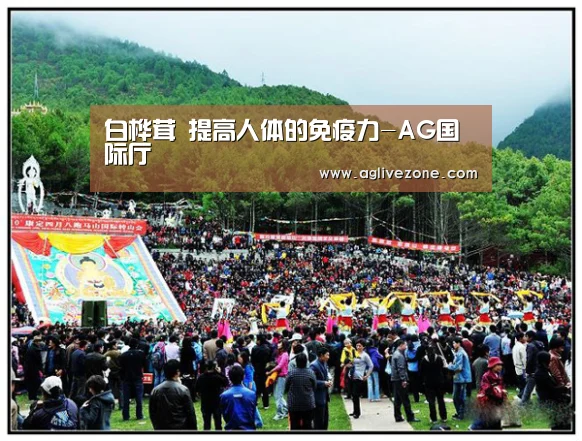 AG棋牌
