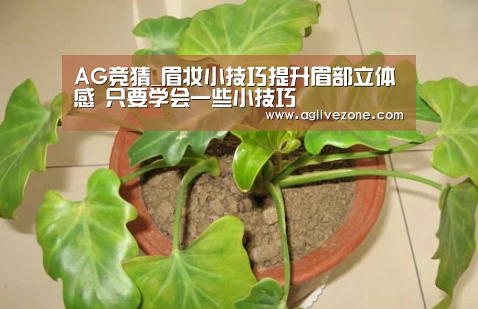 AG竞猜_眉妆小技巧提升眉部立体感 只要学会一些小技巧(图4) AG棋牌