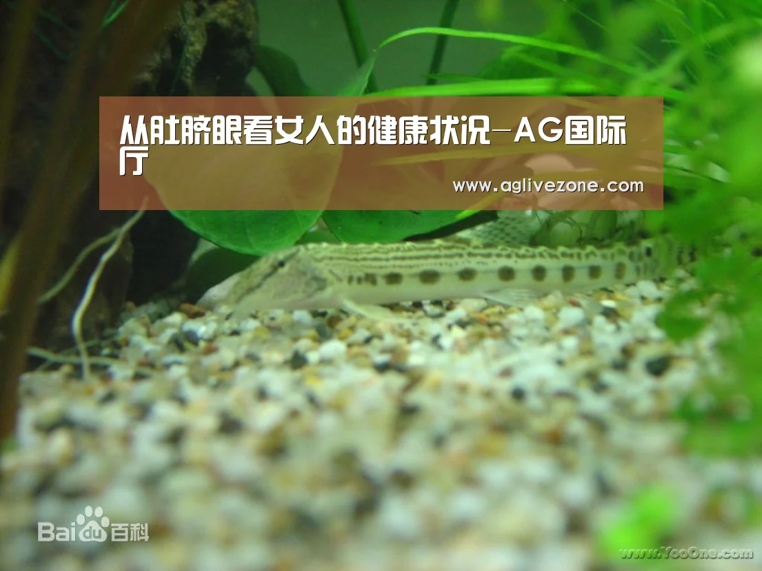 从肚脐眼看女人的健康状况-AG国际厅(图2) AG竞猜