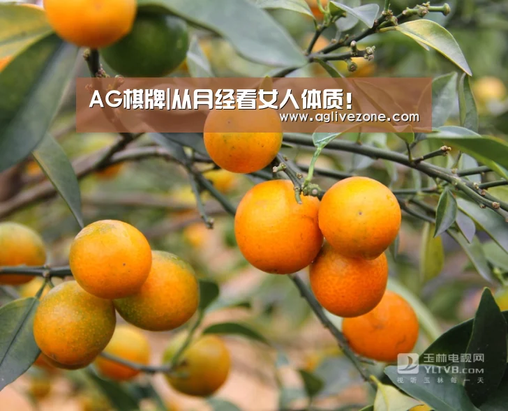 AG棋牌|从月经看女人体质!(图1) AG娱乐