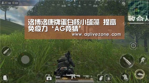 洛博洛康牌蛋白核小球藻 提高免疫力‘AG竞猜’(图3) AG娱乐